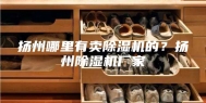 扬州哪里有卖除湿机的？扬州除湿机厂家