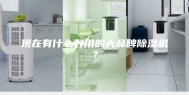 现在有什么好用的大品牌除湿机？