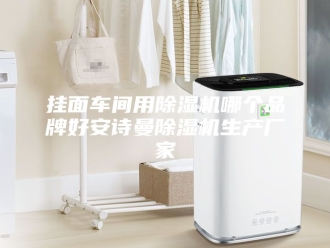 企业新闻挂面车间用除湿机哪个品牌好安诗曼除湿机生产厂家