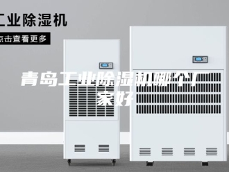 企业新闻青岛工业除湿机哪个厂家好
