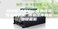 安诗曼-ASM  文物恒温恒湿密码柜 博物馆库房文物储藏柜