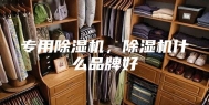 专用除湿机，除湿机什么品牌好