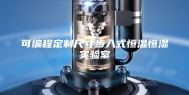 可编程定制尺寸步入式恒温恒湿实验室