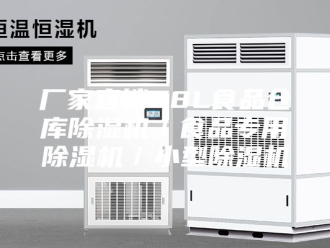 行业新闻厂家直销38L食品仓库除湿机／食品专用除湿机／小型除湿机