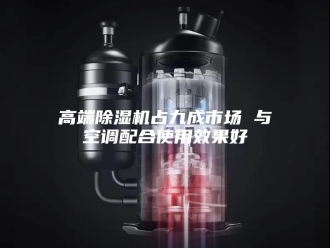 企业新闻高端除湿机占九成市场 与空调配合使用效果好