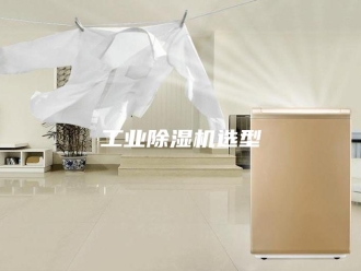 行业新闻工业除湿机选型