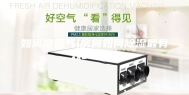 如何除湿气(房间如何除湿最有效的方法)