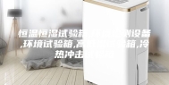 恒温恒湿试验箱,环境检测设备,环境试验箱,高低温试验箱,冷热冲击试验箱
