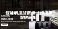 智能调湿储藏柜（恒温恒湿储藏柜）