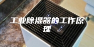 工业除湿器的工作原理