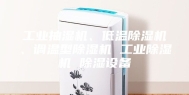 工业抽湿机、低温除湿机、调温型除湿机 工业除湿机 除湿设备