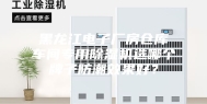 黑龙江电子厂房仓库车间专用除湿机选哪个牌子防潮效果好？