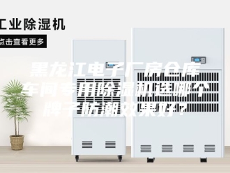 企业新闻黑龙江电子厂房仓库车间专用除湿机选哪个牌子防潮效果好？