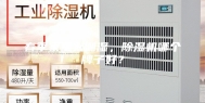 春季家里太潮湿，除湿机哪个牌子好？