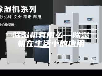 企业新闻除湿机有用么—除湿机在生活中的应用