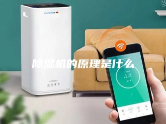 企业新闻除湿机的原理是什么