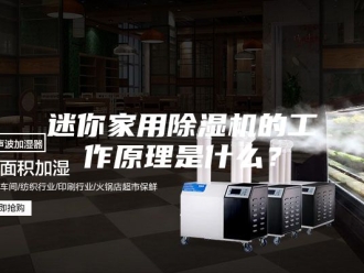 企业新闻迷你家用除湿机的工作原理是什么？