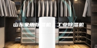 山东家用除湿机，工业除湿机