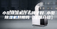 小型除湿机什么牌子好 小型除湿机好用吗【详细介绍】