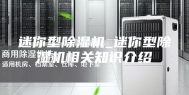 迷你型除湿机_迷你型除湿机相关知识介绍
