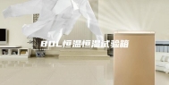 80L恒温恒湿试验箱