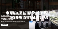 家用抽湿机哪个牌子好—家用抽湿机品牌介绍