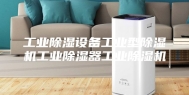 工业除湿设备工业型除湿机工业除湿器工业除湿机