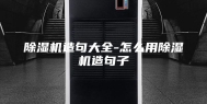 除湿机造句大全-怎么用除湿机造句子