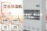 重庆CO2热泵除湿机厂家(认准！2023已更新)