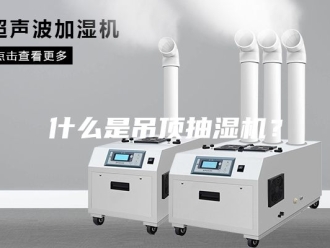 企业新闻什么是吊顶抽湿机？