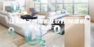 什么牌子除湿机比较好(除湿机什么牌子)
