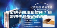 热泵烘干除湿机图片／热泵烘干除湿机样板图