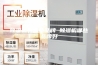 除湿机有哪些品牌 除湿机哪些品牌好