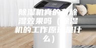 除湿机真的有除湿效果吗（除湿机的工作原理是什么）