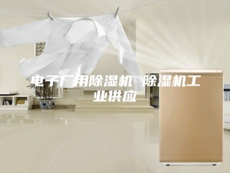 行业新闻电子厂用除湿机 除湿机工业供应