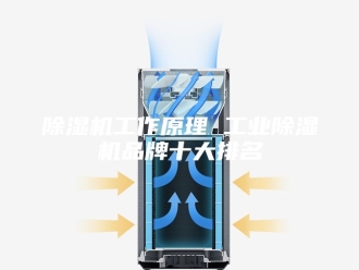 企业新闻除湿机工作原理 工业除湿机品牌十大排名