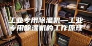工业专用除湿机—工业专用除湿机的工作原理