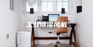 工业除湿风机