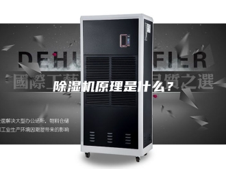 企业新闻除湿机原理是什么？