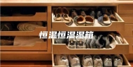恒温恒湿湿箱