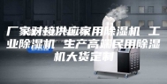 厂家对接供应家用除湿机 工业除湿机 生产高端民用除湿机大货定制