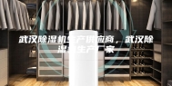 武汉除湿机生产供应商，武汉除湿机生产厂家