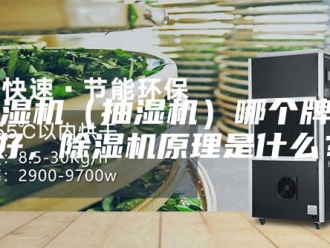 企业新闻除湿机（抽湿机）哪个牌子好，除湿机原理是什么？