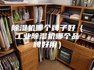 企业新闻除湿机哪个牌子好（工业除湿机哪个品牌好用）