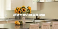 鹤壁吊顶式恒温恒湿机