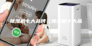 除湿机十大品牌（除湿机十大品牌）