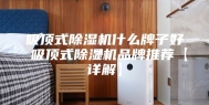 吸顶式除湿机什么牌子好 吸顶式除湿机品牌推荐【详解】