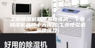 工业除湿机知名品牌排名，工业除湿机品牌十大排名(工业除湿机品牌推荐)