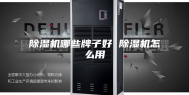 除湿机哪些牌子好 除湿机怎么用