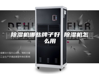 企业新闻除湿机哪些牌子好 除湿机怎么用